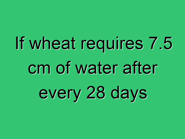 If Wheat Requires 7 5 Cm Of Water After Every 28 Days 315 Civil Experience