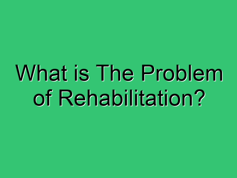 What Is The Problem Of Rehabilitation 413 Civil Experience